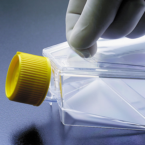 FRASCO DE CULTURA CELULAR 300 CM, PELICUL...