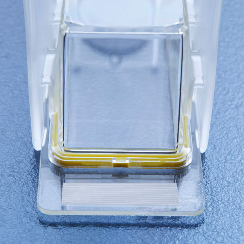 CLIPMAX 10 CM (FRASCO DE CULTURA COM LAM ...