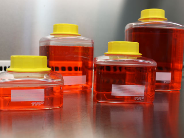 GARRAFA (RESERVATORIO/PARTE INFERIOR) FI ...