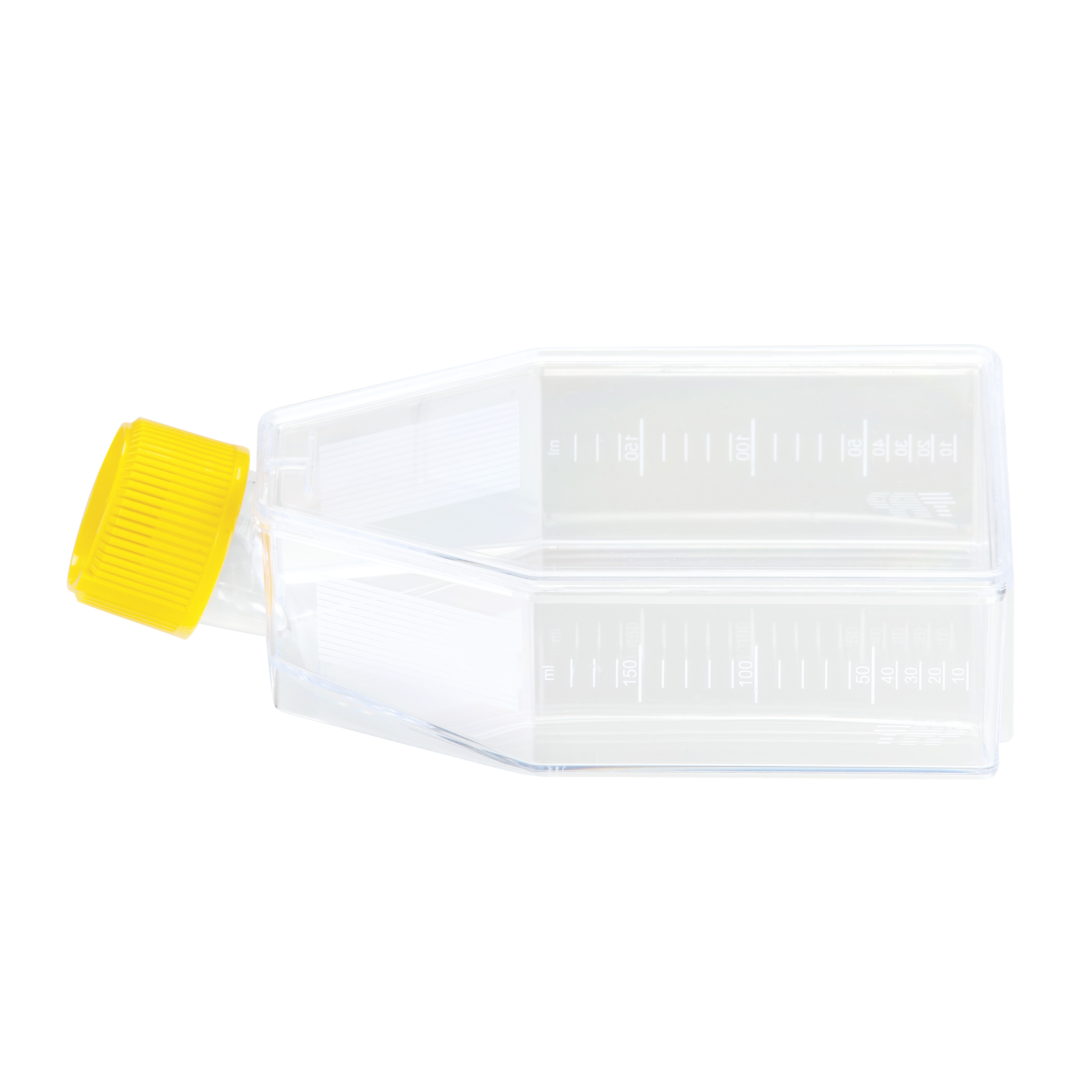 FRASCO DE CULTURA CELULAR 75 CM2 (65ML), ...