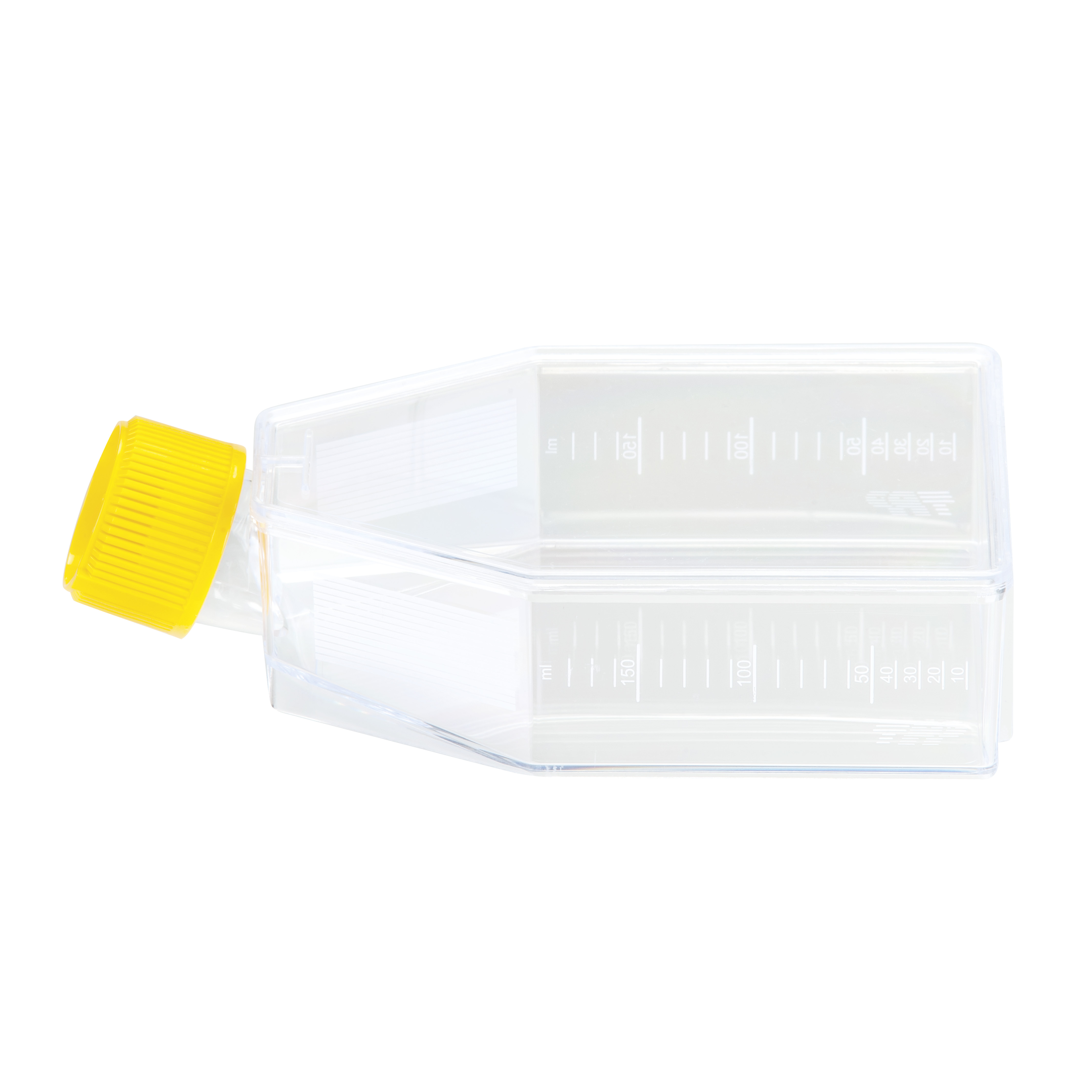 FRASCO DE CULTURA CELULAR 75 CM2 (65ML), ...