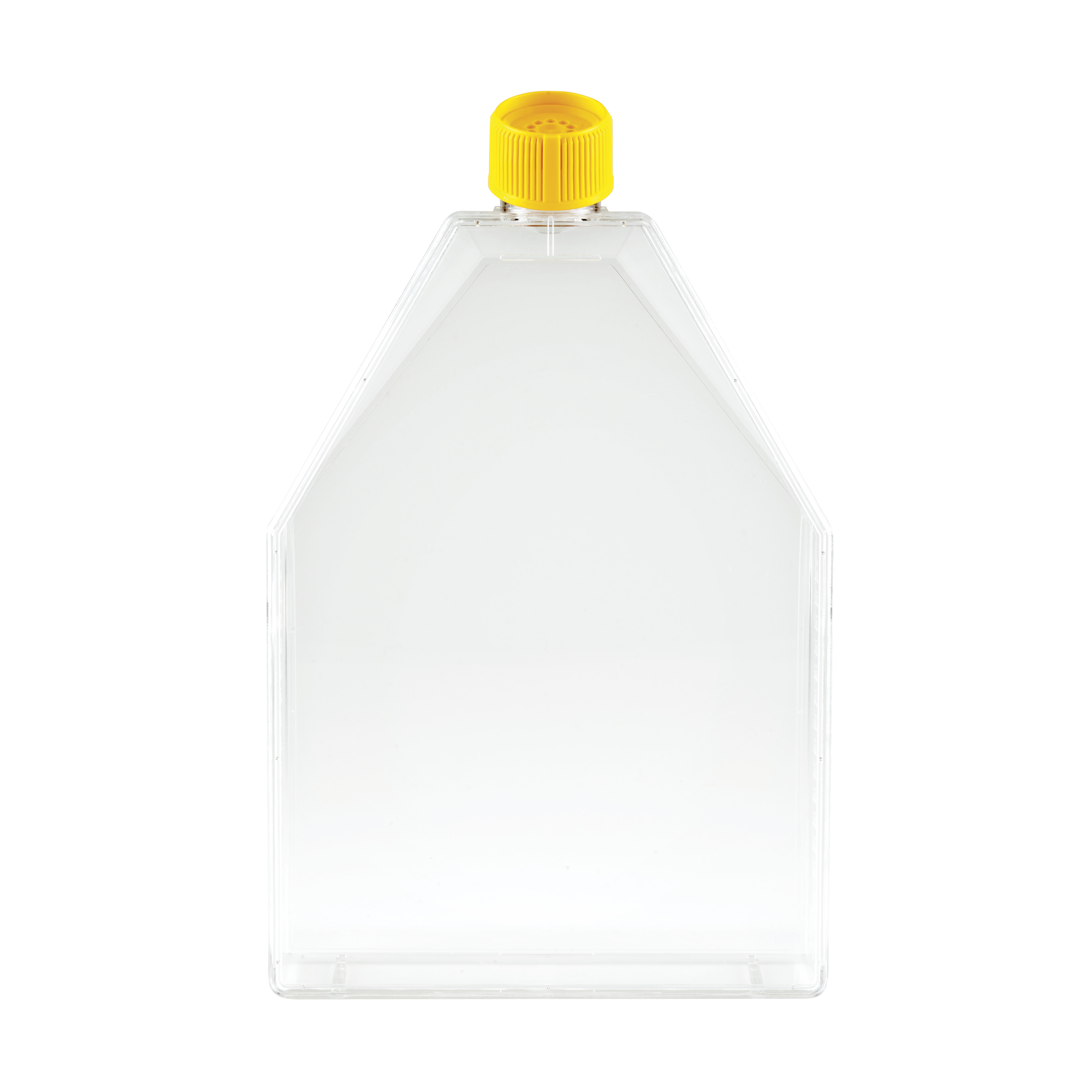 FRASCO DE CULTURA CELULAR 300 CM, TAMPA  ...