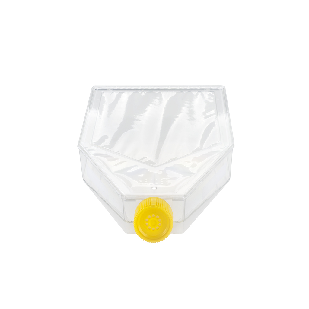 FRASCO DE CULTURA CELULAR 300 CM2, PELICU...