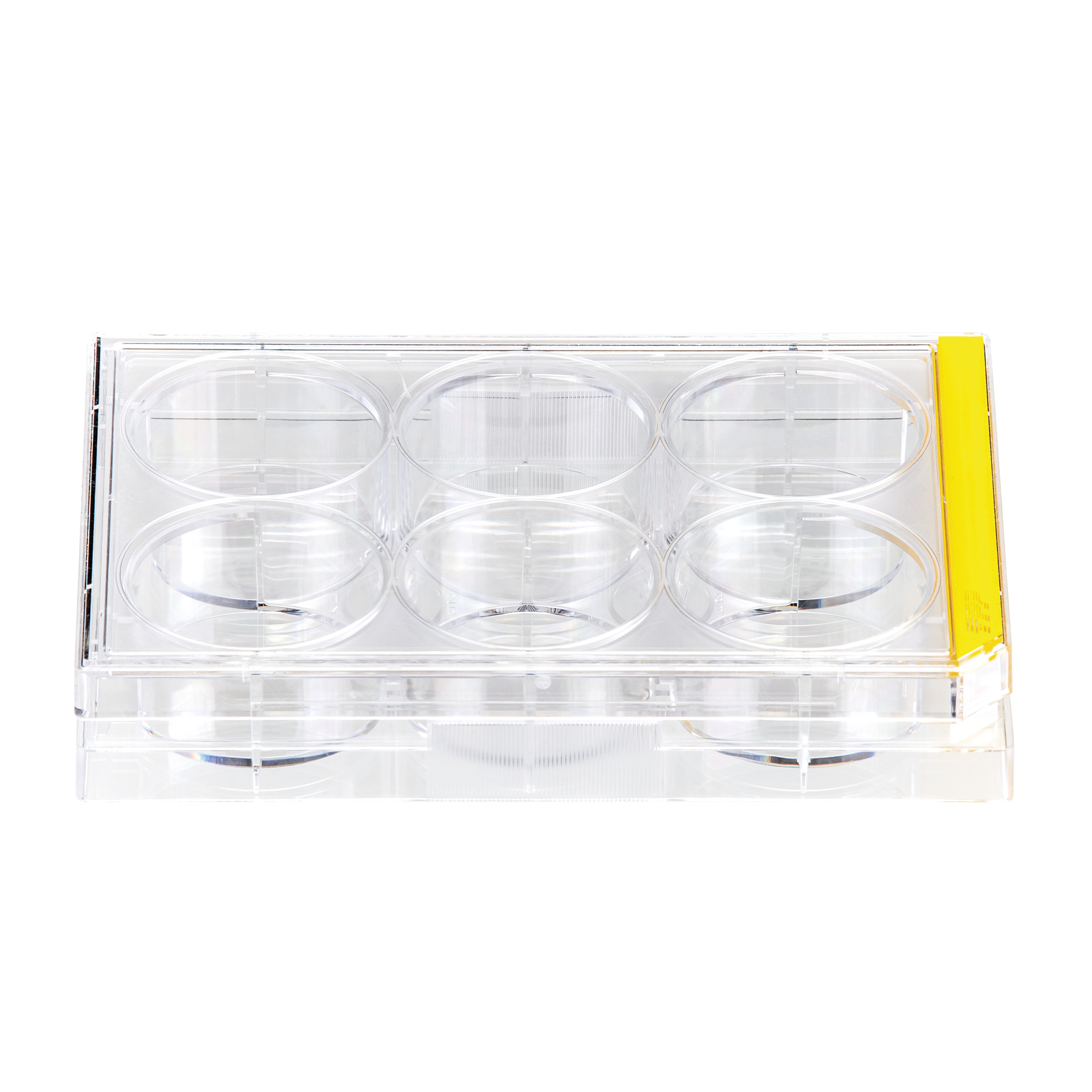 MICROPLACA DE CULTURA CELULAR, 6 POCOS, F...