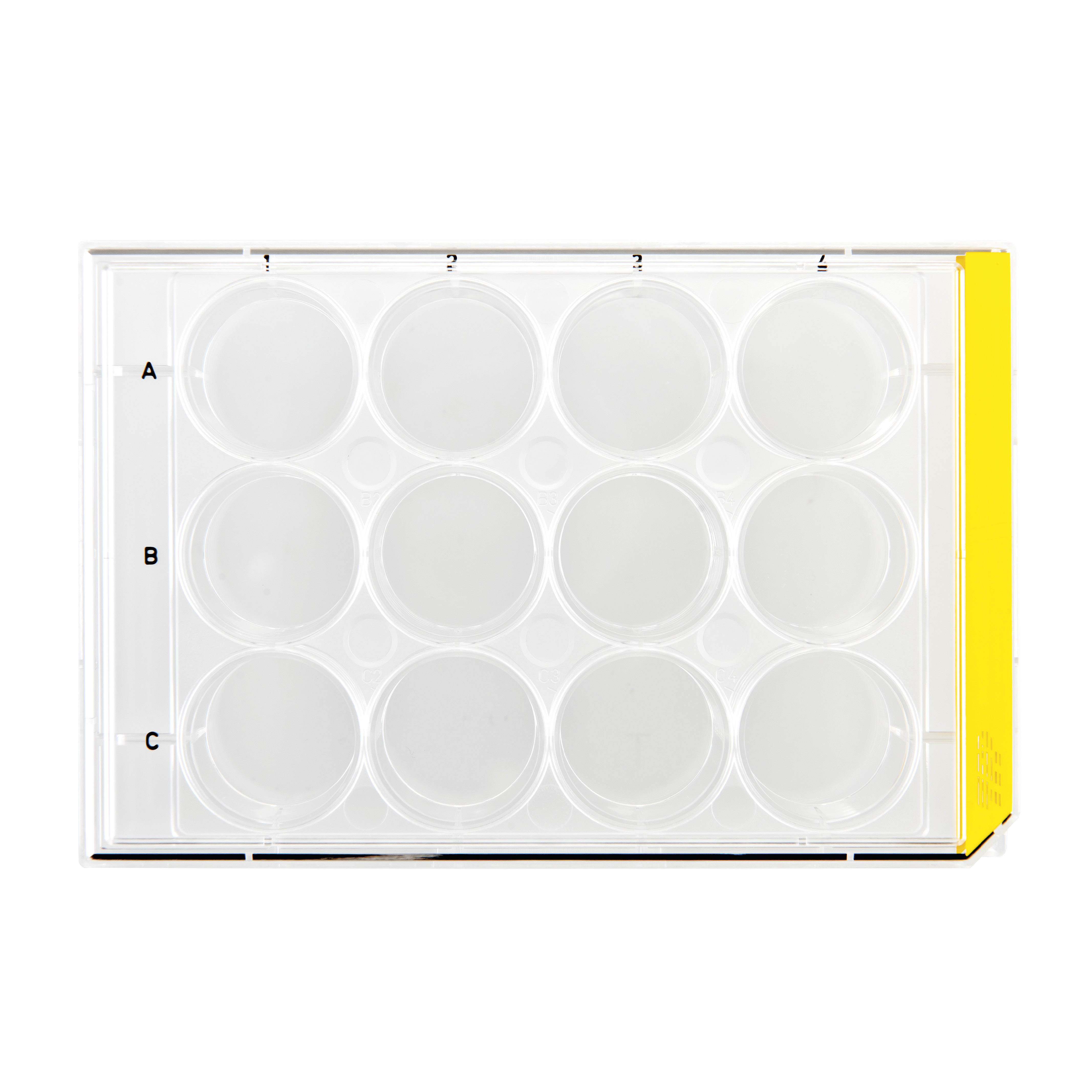 MICROPLACA DE CULTURA CELULAR, 12 POCOS, ...