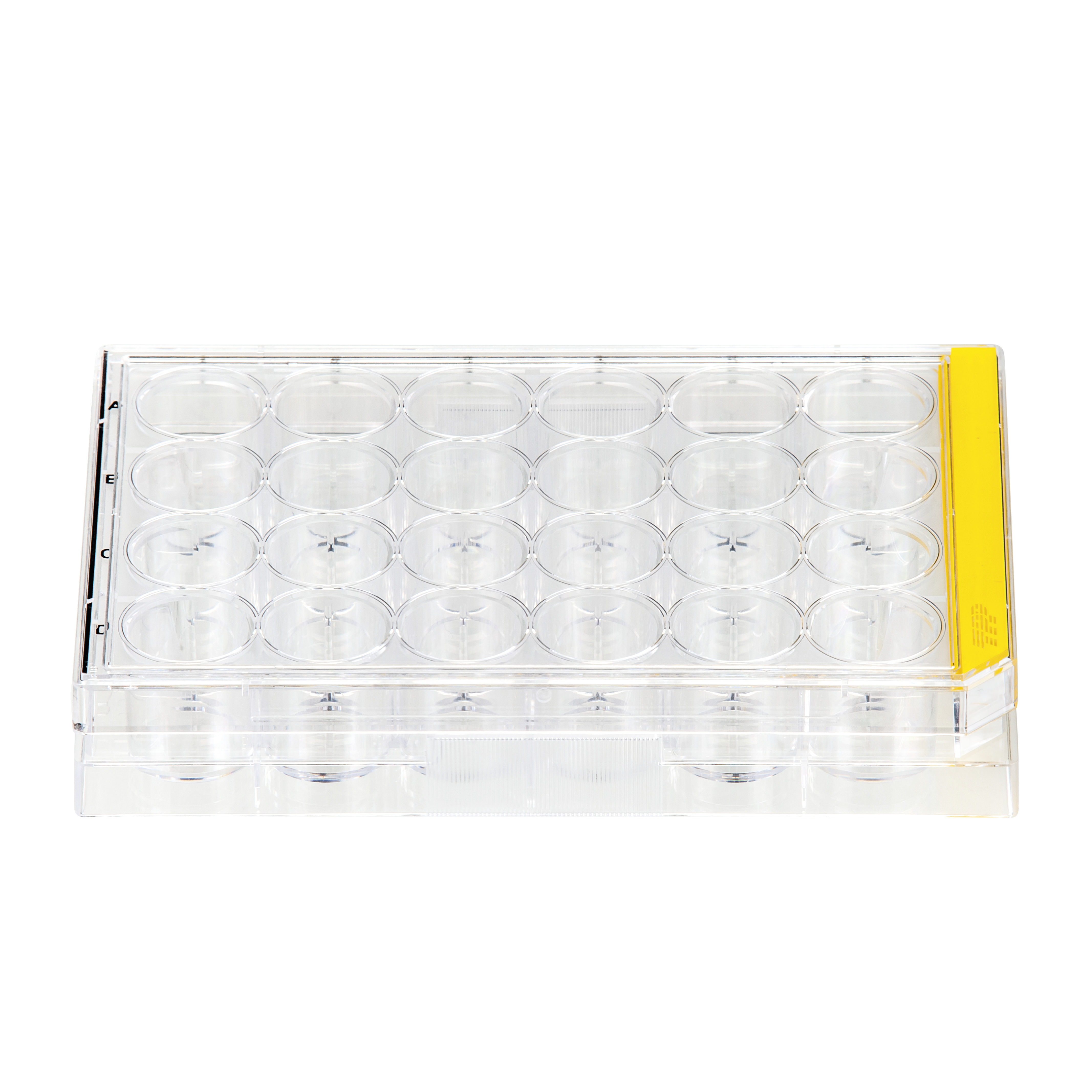 MICROPLACA DE CULTURA CELULAR, 24 POCOS, ...